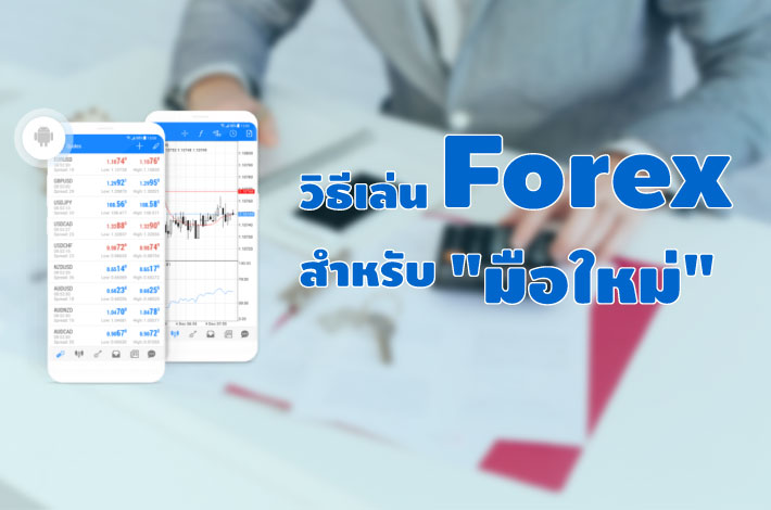 แหล่งข้อมูลเรียนรู้การเทรด Forex | Forex Land