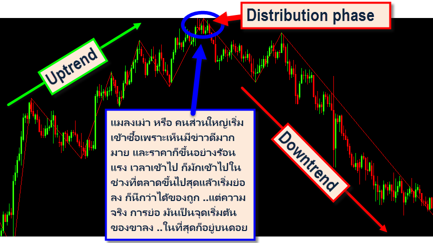 The-distribution-phase-forex-in-thai